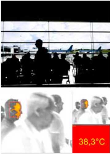 лихорадка, вирус